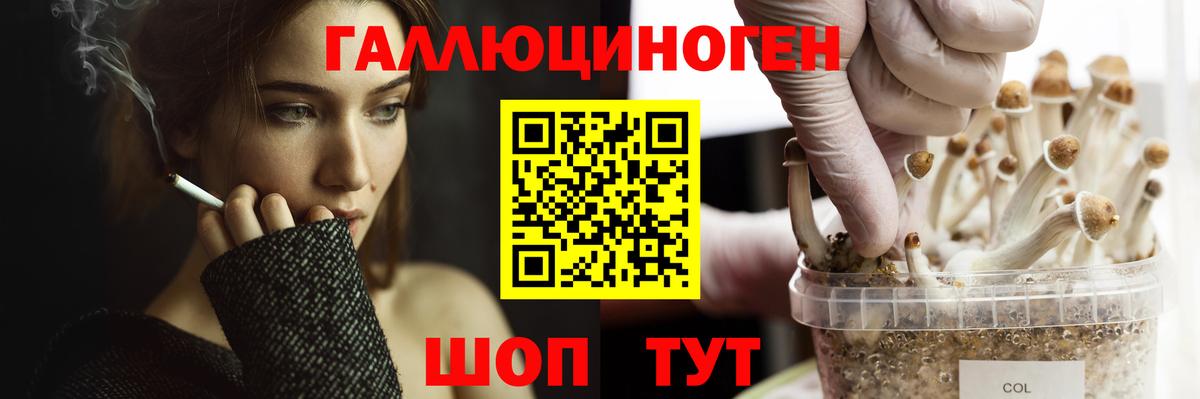 Псилоцибиновые грибы Magic Shrooms Новосибирск